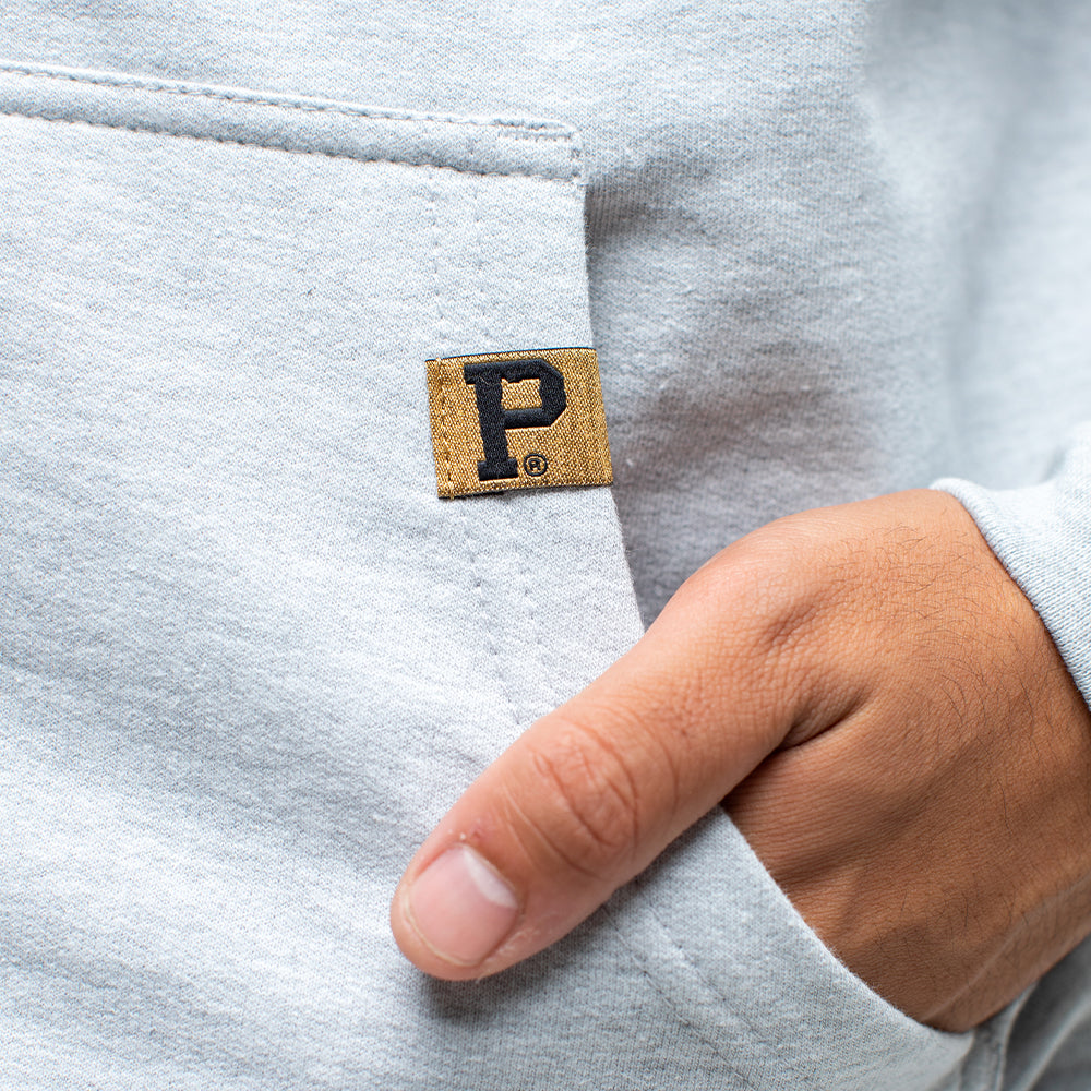 Hawk Head Zip Hoodie - Grey