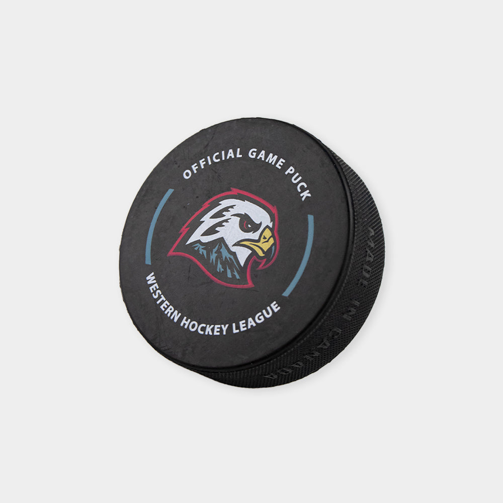 Hawk Hockey Puck