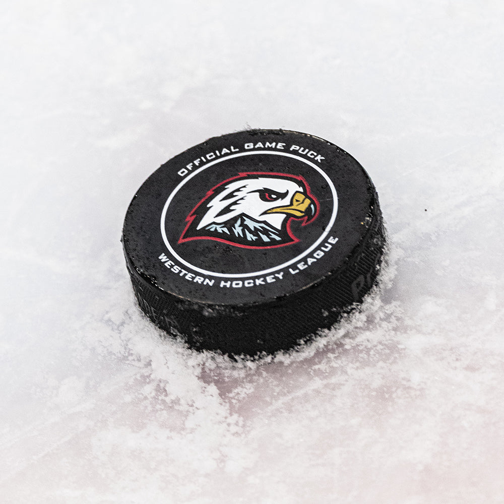 Hawk Hockey Puck